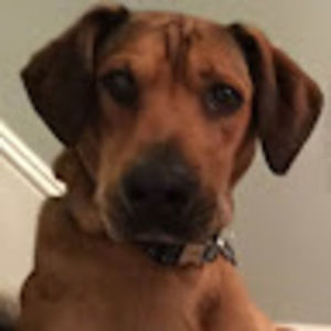 Meet your Posher, Layne